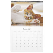 KÄTZCHEN KATZEN WELPEN - Kalender (Jan 2027)