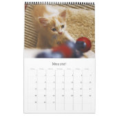 KÄTZCHEN KATZEN WELPEN - Kalender (Mär 2027)