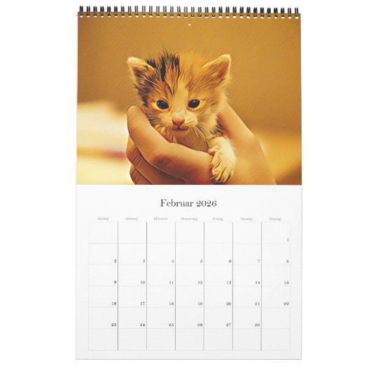 KÄTZCHEN KATZEN WELPEN - Kalender (Feb 2026)