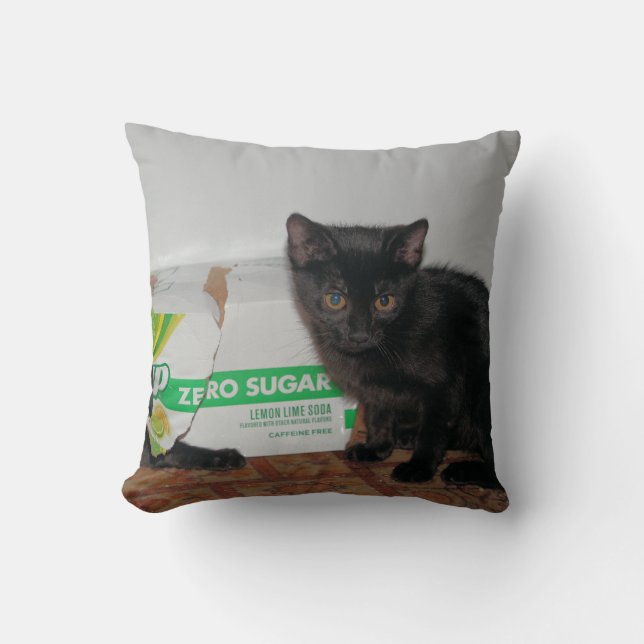 Kätzchen Kissen (Vorderseite)