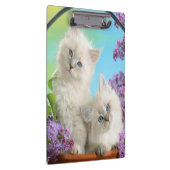 Kätzchen/Klappe Klemmbrett (Rechts)