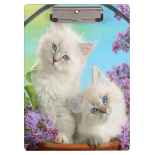 Kätzchen/Klappe Klemmbrett