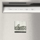 Kätzchen Klavier spielen Magnet (In Situ (Geschirrspüler))
