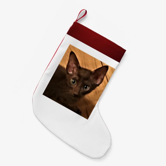 Kätzchen Kleiner Weihnachtsstrumpf (Vorderansicht (hängend))