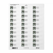 Kätzchen-Korbadressen (Vorne)