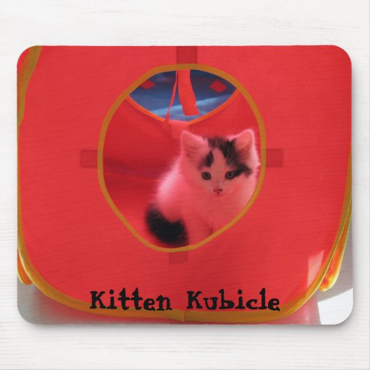 Kätzchen Kubicle Mousepad (Vorne)