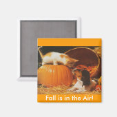 Kätzchen, Kürbis und Welpe Magnet (Vorderseite/Rückseite)