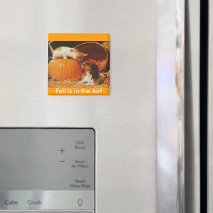 Kätzchen, Kürbis und Welpe Magnet