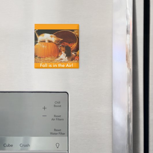 Kätzchen, Kürbis und Welpe Magnet (In Situ (Kühlschrank))