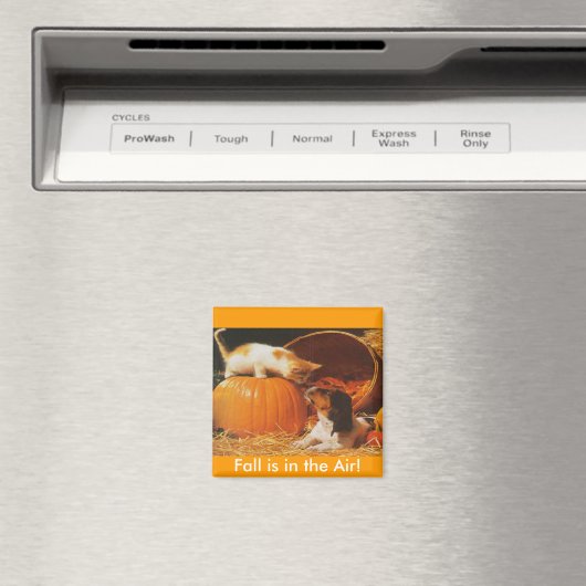 Kätzchen, Kürbis und Welpe Magnet (In Situ (Geschirrspüler))