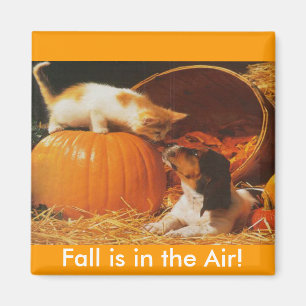 Kätzchen, Kürbis und Welpe Magnet