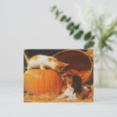 Kätzchen, Kürbis und Welpe Postkarte (Stehend Vorderseite)