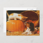 Kätzchen, Kürbis und Welpe Postkarte (Vorne/Hinten)