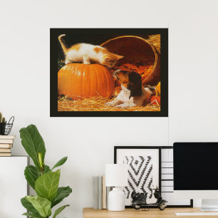Kätzchen, Kürbis und Welpen drucken Poster