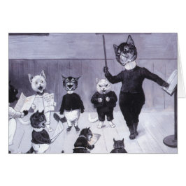 Kätzchen lernen zu singen