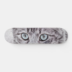 Kätzchen Liebe Niedliche Katzenkatze mit leuchtend Skateboard