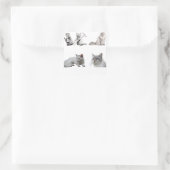 Kätzchen Liebe phantastische Katzen Packung Quadratischer Aufkleber (Tasche)