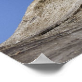 Kätzchen liegen auf dem Logbuch, gähnend, nah-up Poster (Ecke)