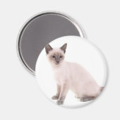 Kätzchen Magnet (Vorderseite/Rückseite)