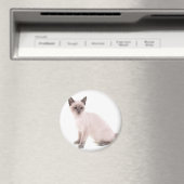 Kätzchen Magnet (In Situ (Geschirrspüler))