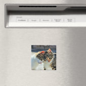 Kätzchen Magnet (In Situ (Geschirrspüler))