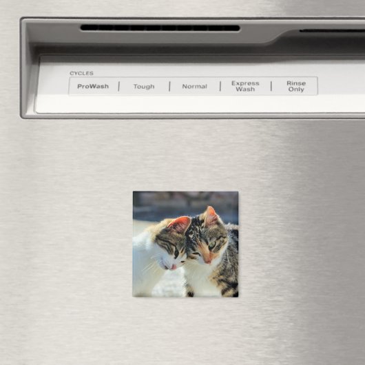 Kätzchen Magnet (In Situ (Geschirrspüler))