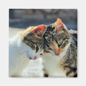 Kätzchen Magnet (Vorne)