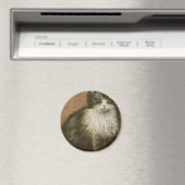 Kätzchen Magnet (In Situ (Geschirrspüler))