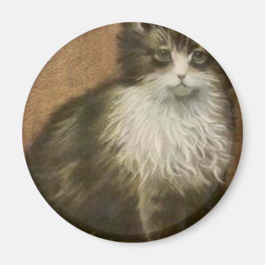 Kätzchen Magnet (Vorne)