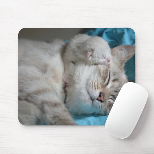 Kätzchen Mama und Sohn Mousepad (Mit Mouse)