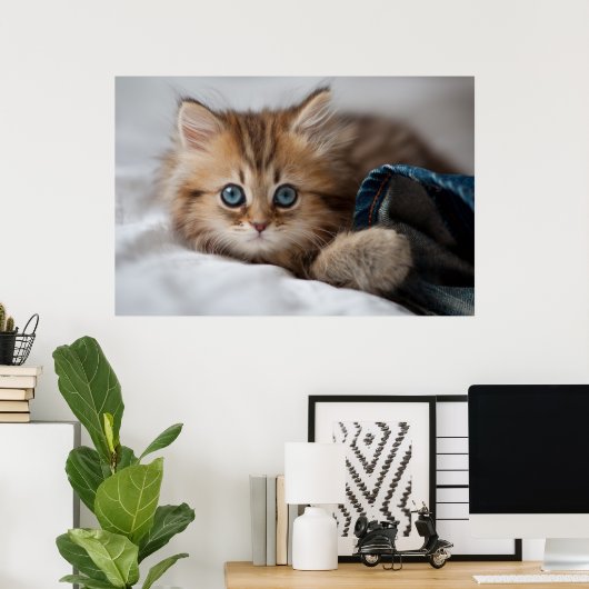 Kätzchen mit blauen Augen Poster (Heimbüro)