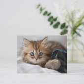 Kätzchen mit blauen Augen Postkarte (Stehend Vorderseite)