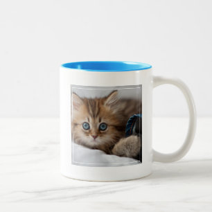 Kätzchen mit blauen Augen Zweifarbige Tasse