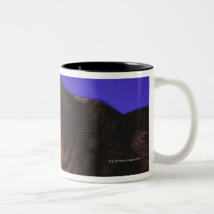 Kätzchen mit Computermaus Zweifarbige Tasse