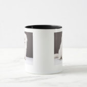 Kätzchen mit den Augen geschlossen Tasse (Zentrum)