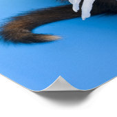 Kätzchen mit Flügeln Poster (Ecke)