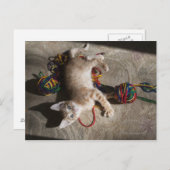 Kätzchen mit Garnen Postkarte (Vorne/Hinten)