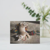 Kätzchen mit Garnen Postkarte (Stehend Vorderseite)