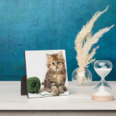 Kätzchen mit grünem Garn Fotoplatte (InSitu)