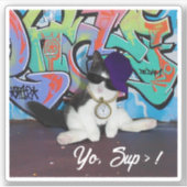 Kätzchen mit Katzenhöhe Aufkleber (Vorderseite)