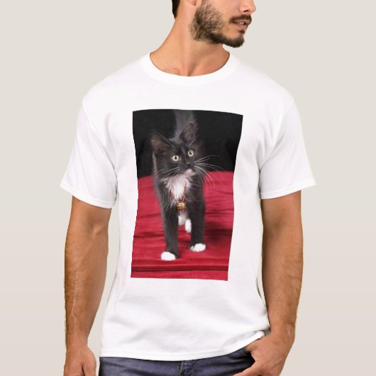 Kätzchen mit kurzer Haarblatte, 2 1/2 Monate T-Shirt (Vorderseite)