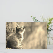 Kätzchen mit Schmetterlingsfreund Briefpapier (Stehend Vorderseite)