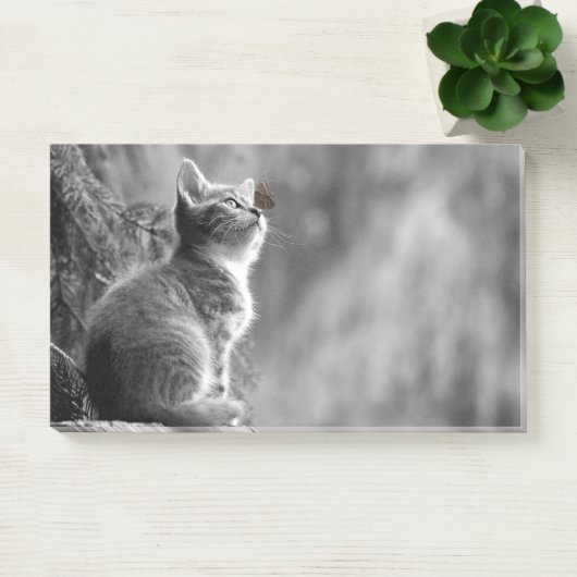 Kätzchen mit Schmetterlingsfreund Post-it Klebezettel (Büro)