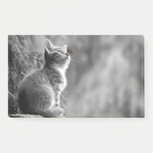 Kätzchen mit Schmetterlingsfreund Post-it Klebezettel