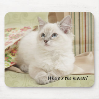 Kätzchen mousemat mousepad