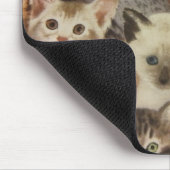 Kätzchen Mousepad (Ecke)