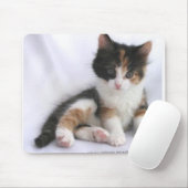 Kätzchen Mousepad (Mit Mouse)