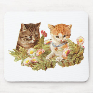 Kätzchen Mousepad