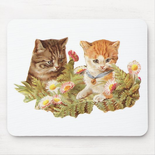 Kätzchen Mousepad (Vorne)