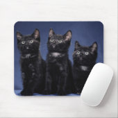 Kätzchen Mousepad (Mit Mouse)